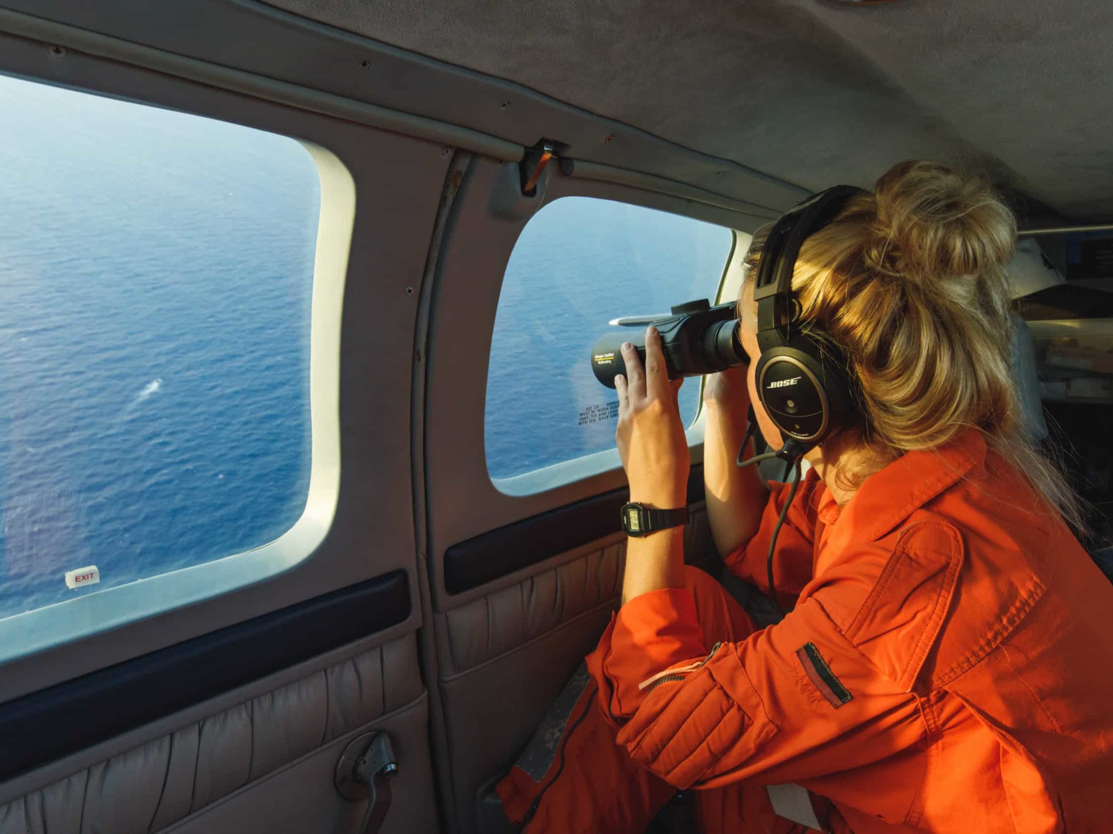 Spotting from Seabird over the Mediterranean Sea