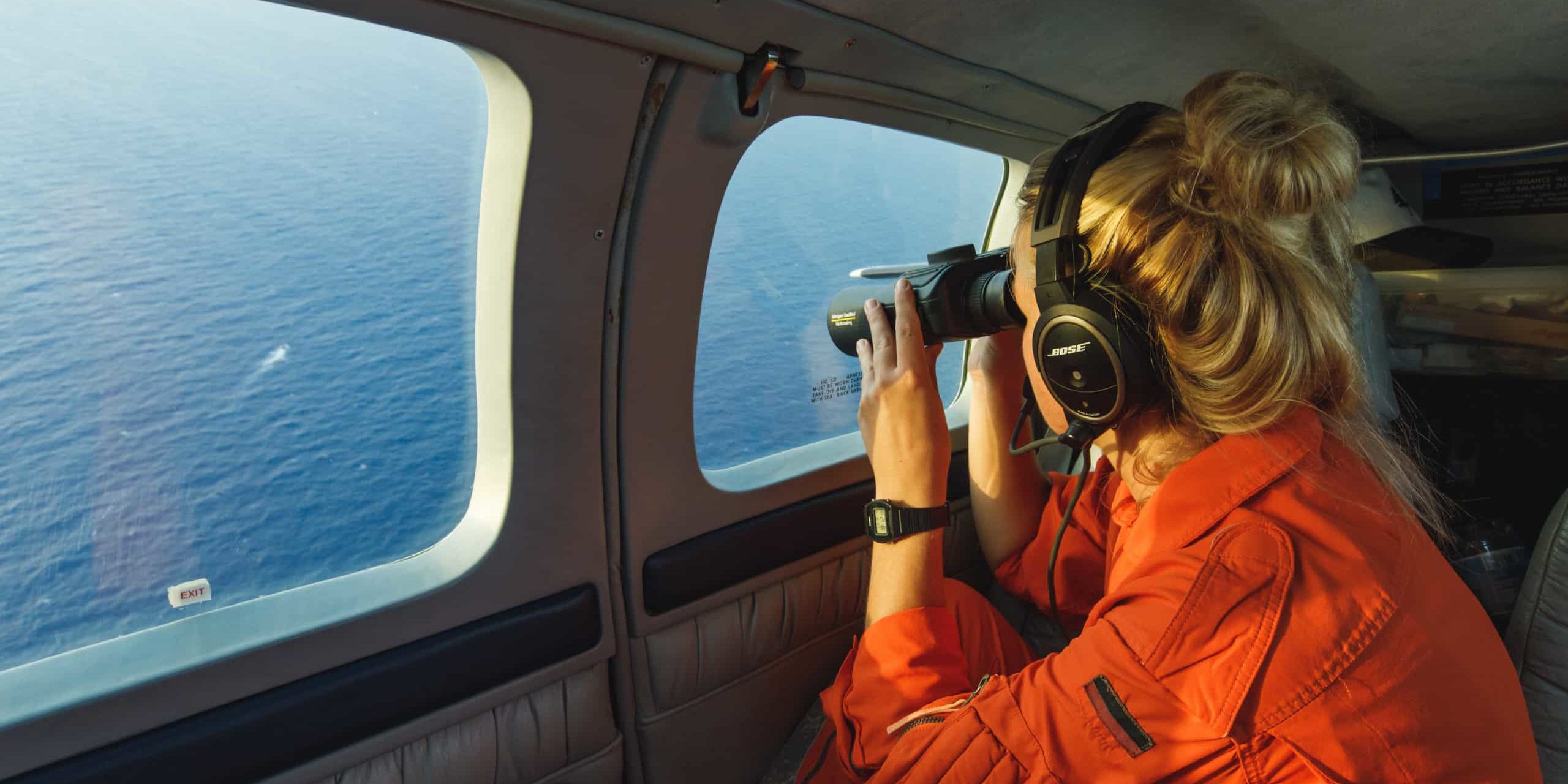 Spotting from Seabird over the Mediterranean Sea